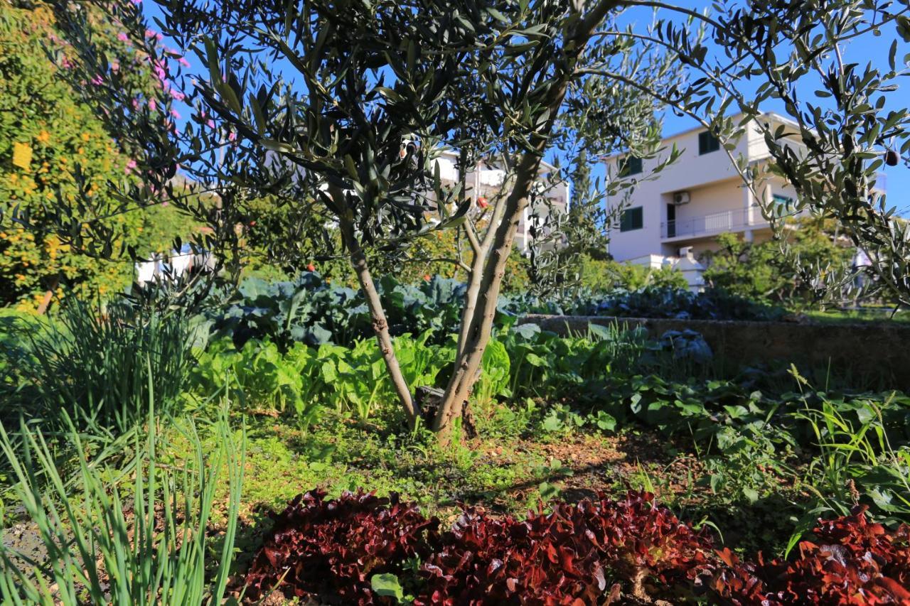 Apartments By The Sea Seget Donji, Trogir - 2029 Zewnętrze zdjęcie